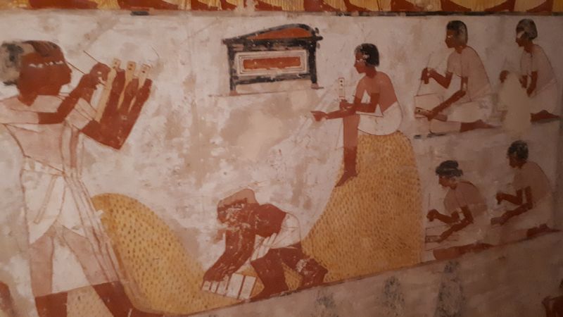 Dia 6: El Valle de los Nobles y fin del día - Faraónico Egipto (61)