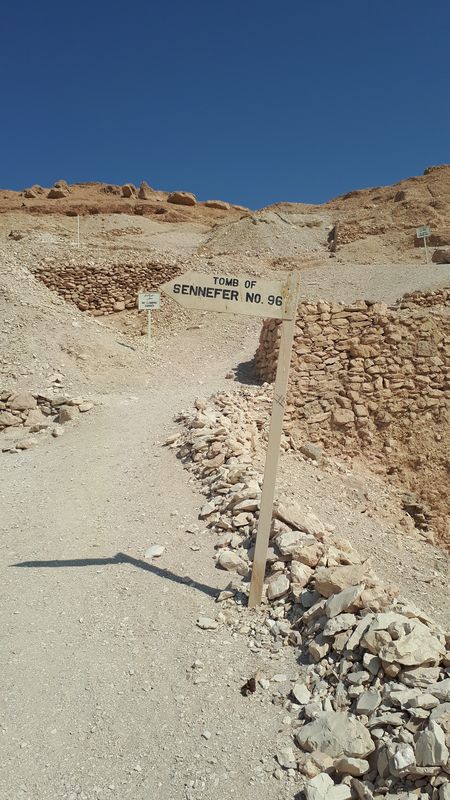 Dia 6: El Valle de los Nobles y fin del día - Faraónico Egipto (67)