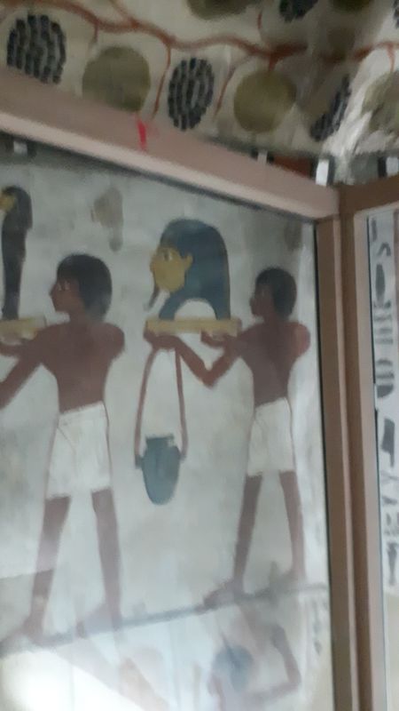 Dia 6: El Valle de los Nobles y fin del día - Faraónico Egipto (71)