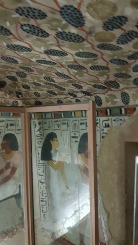 Dia 6: El Valle de los Nobles y fin del día - Faraónico Egipto (70)