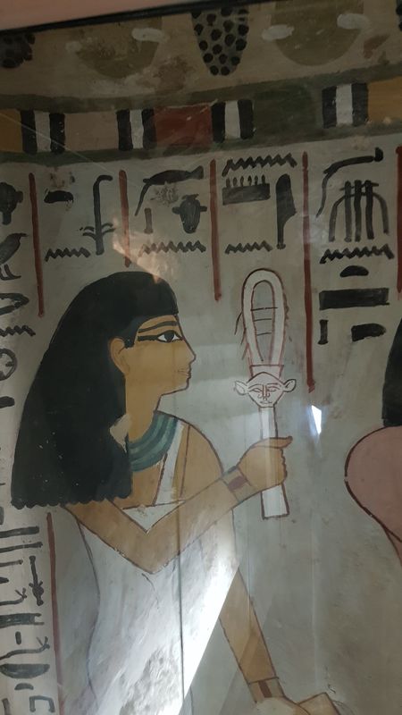 Dia 6: El Valle de los Nobles y fin del día - Faraónico Egipto (72)