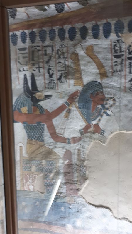 Dia 6: El Valle de los Nobles y fin del día - Faraónico Egipto (74)