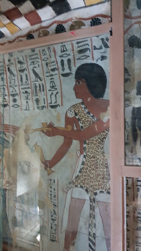 Dia 6: El Valle de los Nobles y fin del día - Faraónico Egipto (78)