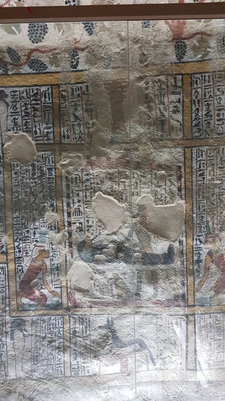 Dia 6: El Valle de los Nobles y fin del día - Faraónico Egipto (81)