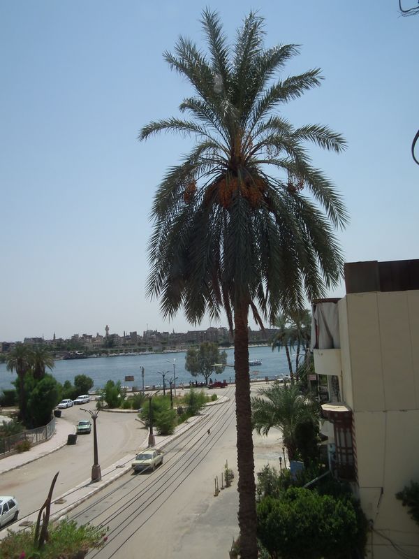 Dia 6: El Valle de los Nobles y fin del día - Faraónico Egipto (103)