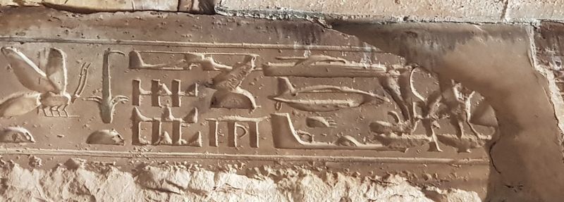 Dia 7: Los templos lejanos: Abydos - Faraónico Egipto (16)