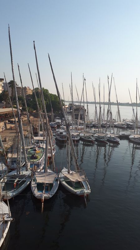 Días 8 y 9: Dias de calma. Embarque - Faraónico Egipto (10)
