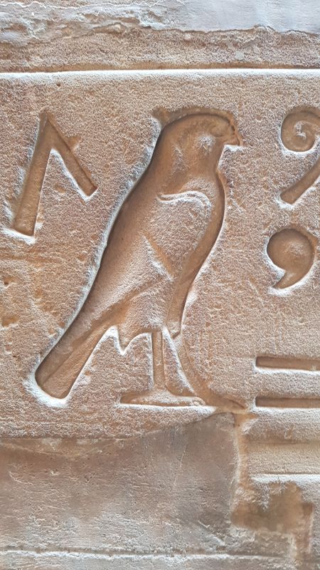 Día 10: Templos en el camino. Edfú - Faraónico Egipto (41)