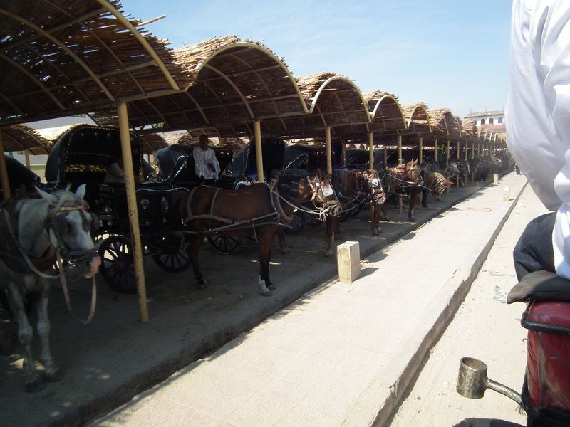 Día 10: Templos en el camino. Edfú - Faraónico Egipto (47)