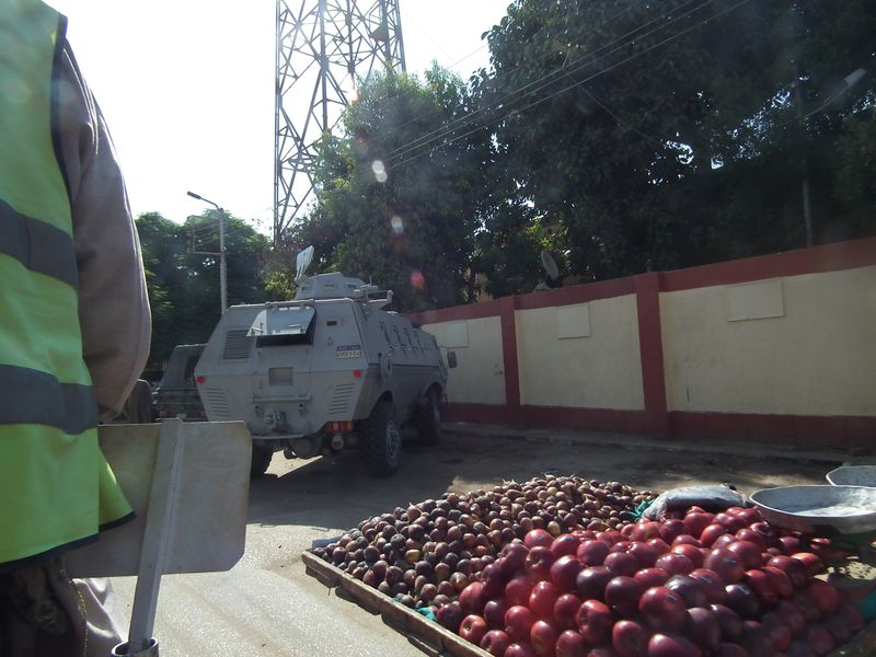 Día 10: Templos en el camino. Edfú - Faraónico Egipto (51)