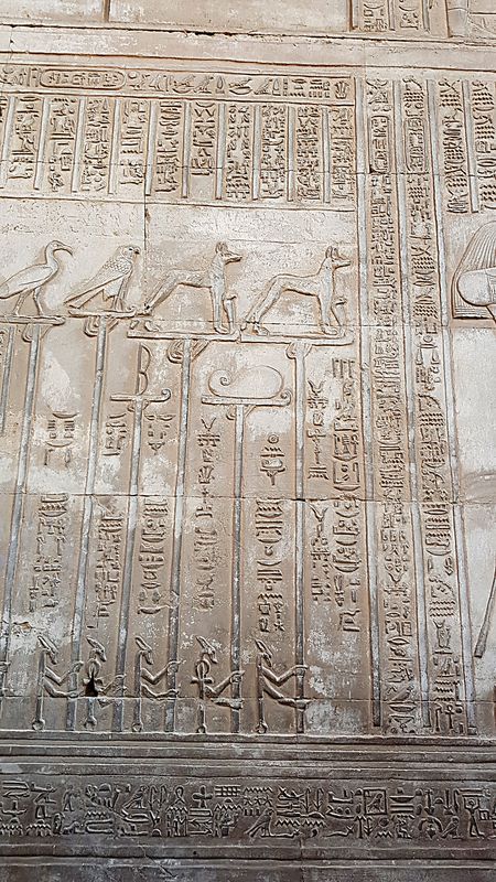 Día 10: Templos en el camino. Komombo y el museo del cocodrilo - Faraónico Egipto (14)