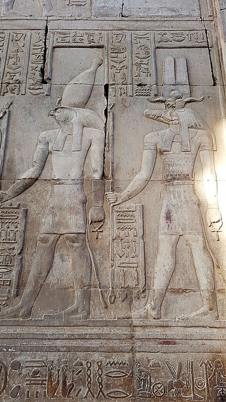 Día 10: Templos en el camino. Komombo y el museo del cocodrilo - Faraónico Egipto (22)
