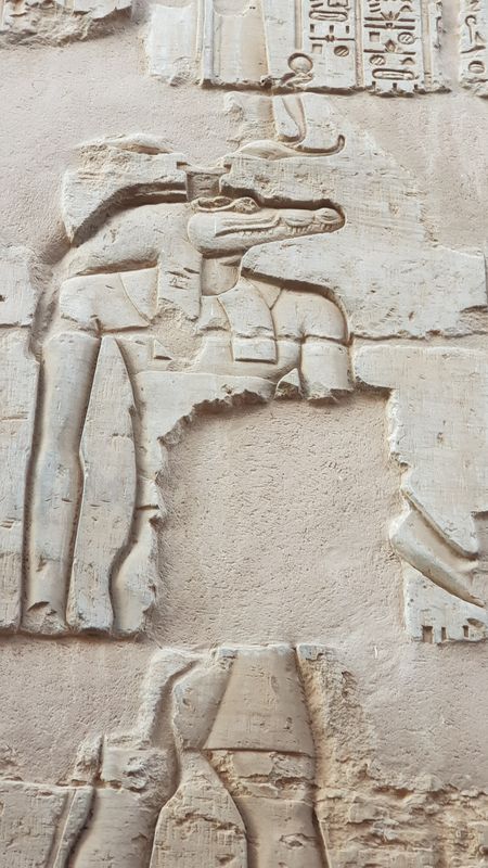 Día 10: Templos en el camino. Komombo y el museo del cocodrilo - Faraónico Egipto (17)