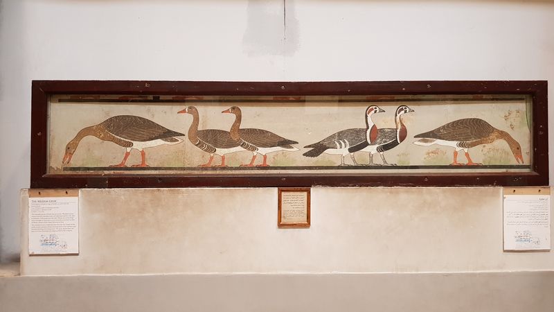 Dia 12: El Cairo. El Museo Egipcio y Jan el-jalili - Faraónico Egipto (29)