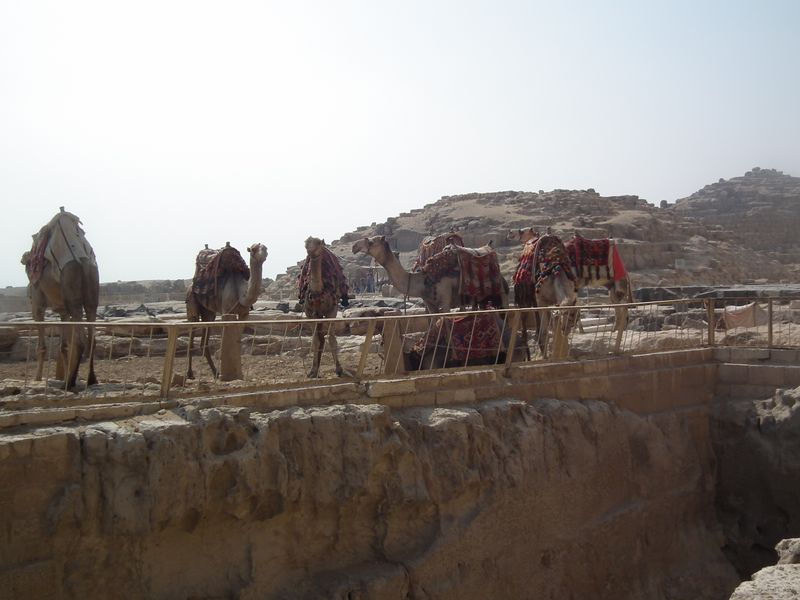 Día 13. Giza - Faraónico Egipto (16)