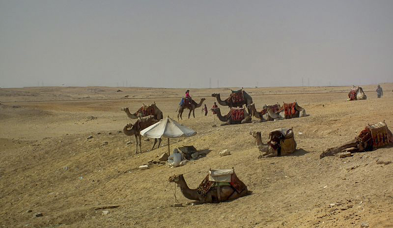 Día 13. Giza - Faraónico Egipto (19)