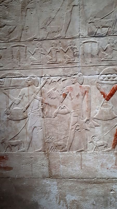 Día 13. Sakkara y resto del día - Faraónico Egipto (33)