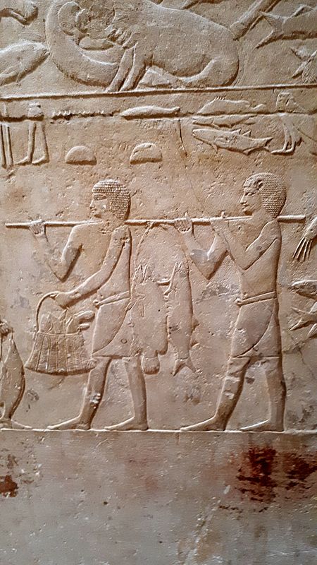 Día 13. Sakkara y resto del día - Faraónico Egipto (27)