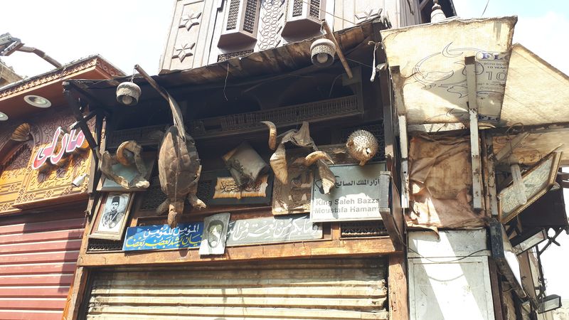 Día 15 El Cairo, último día - Faraónico Egipto (10)