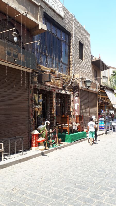 Día 15 El Cairo, último día - Faraónico Egipto (26)