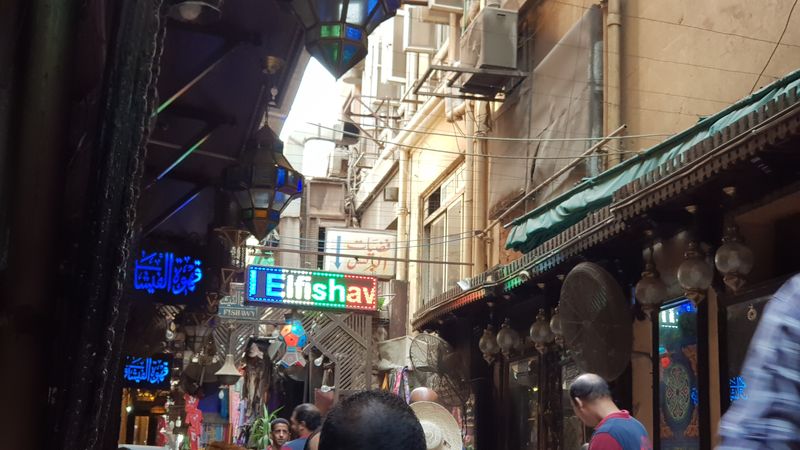Día 15 El Cairo, último día - Faraónico Egipto (35)
