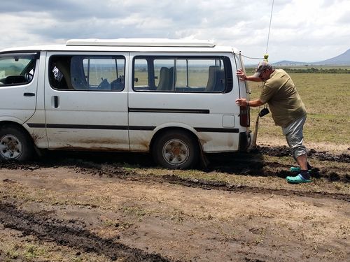 Por fin Kenia - Blogs de Kenia - MASAI MARA (2)