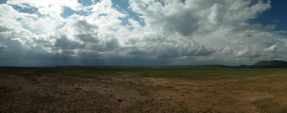 Por fin Kenia - Blogs de Kenia - MASAI MARA (3)