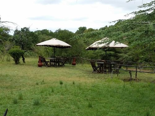 Por fin Kenia - Blogs de Kenia - MASAI MARA (9)