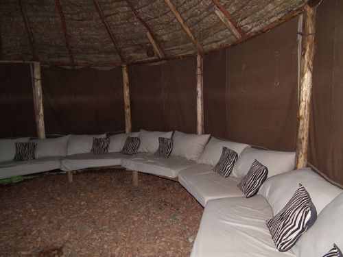 Por fin Kenia - Blogs de Kenia - MASAI MARA (13)