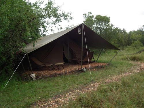 Por fin Kenia - Blogs de Kenia - MASAI MARA (14)