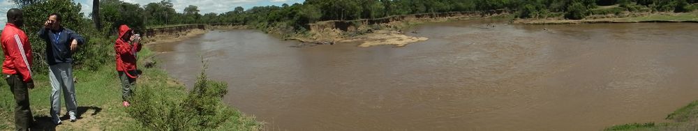Por fin Kenia - Blogs de Kenia - MASAI MARA (43)