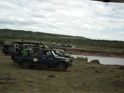 Por fin Kenia - Blogs de Kenia - MASAI MARA (52)