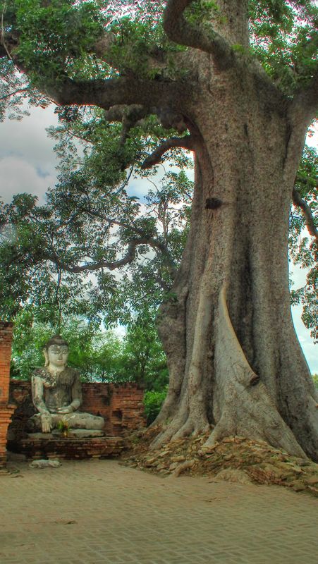 Myanmar. Hay que ir. - Blogs de Myanmar - Mandalay y otras ciudades imperiales. (25)