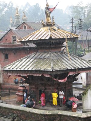 Kathmandu y alrededores en 2007. - Blogs de Nepal - Pashupatinah (3)