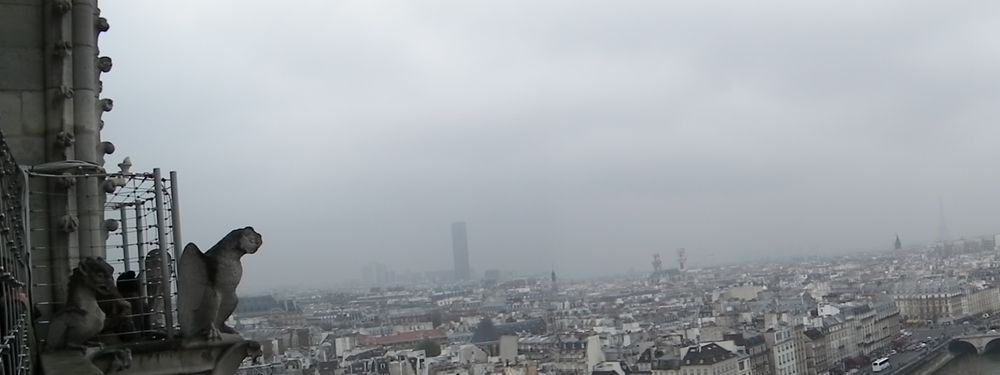 París, una semana en diciembre - Blogs de Francia - Miércoles, Notre Dame, Sacre Coeur, Amelie y la Torre Eiffel nocturna. (12)