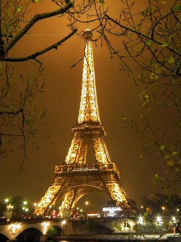 París, una semana en diciembre - Blogs de Francia - Miércoles, Notre Dame, Sacre Coeur, Amelie y la Torre Eiffel nocturna. (21)