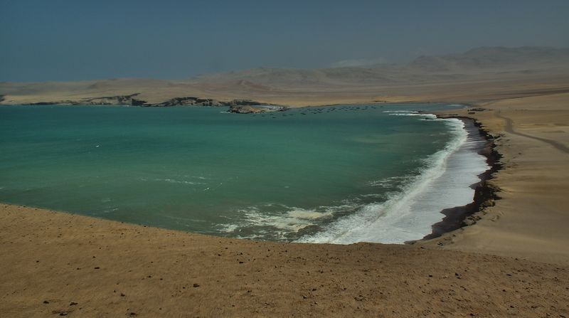 Perú sin prisas - Blogs de Peru - Paracas. Entre el desierto y el océano. (20)