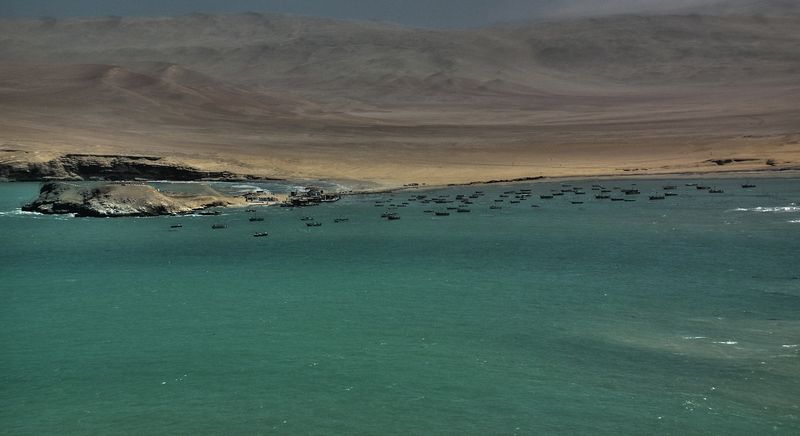 Perú sin prisas - Blogs de Peru - Paracas. Entre el desierto y el océano. (21)