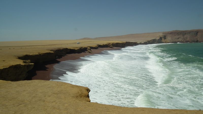 Perú sin prisas - Blogs de Peru - Paracas. Entre el desierto y el océano. (22)
