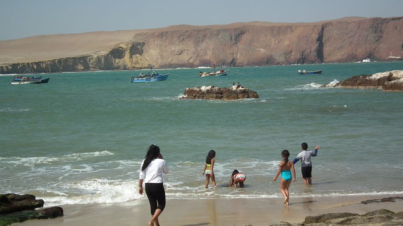Perú sin prisas - Blogs de Peru - Paracas. Entre el desierto y el océano. (32)