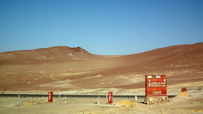 Perú sin prisas - Blogs de Peru - Paracas. Entre el desierto y el océano. (36)