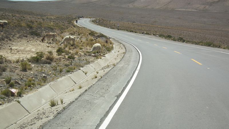 Valle del Colca, el reino del cóndor. - Perú sin prisas (14)