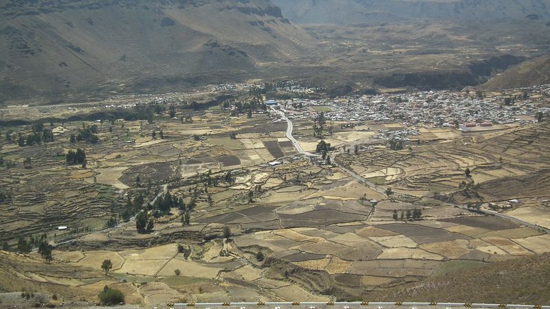 Valle del Colca, el reino del cóndor. - Perú sin prisas (33)