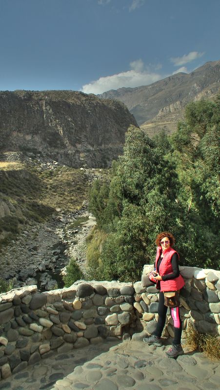 Valle del Colca, el reino del cóndor. - Perú sin prisas (49)