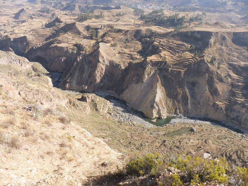 Valle del Colca, el reino del cóndor. - Perú sin prisas (65)