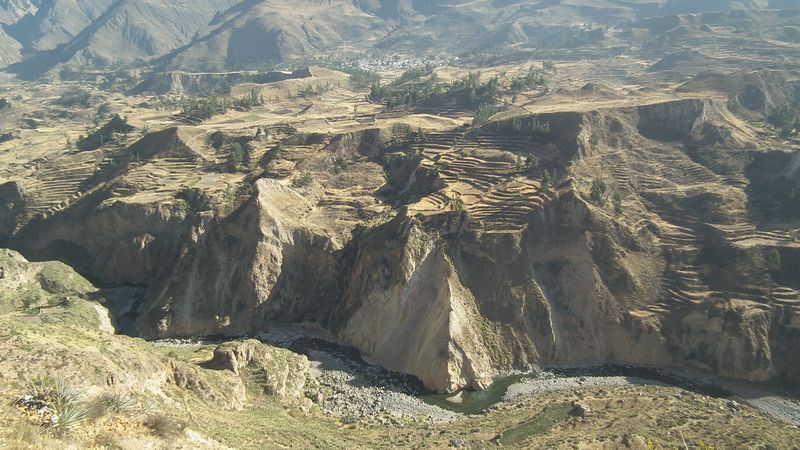 Valle del Colca, el reino del cóndor. - Perú sin prisas (66)