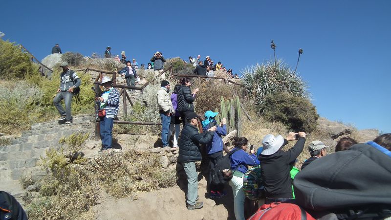 Valle del Colca, el reino del cóndor. - Perú sin prisas (79)