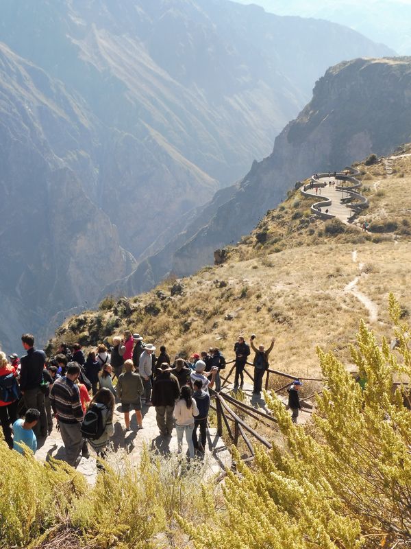 Valle del Colca, el reino del cóndor. - Perú sin prisas (76)