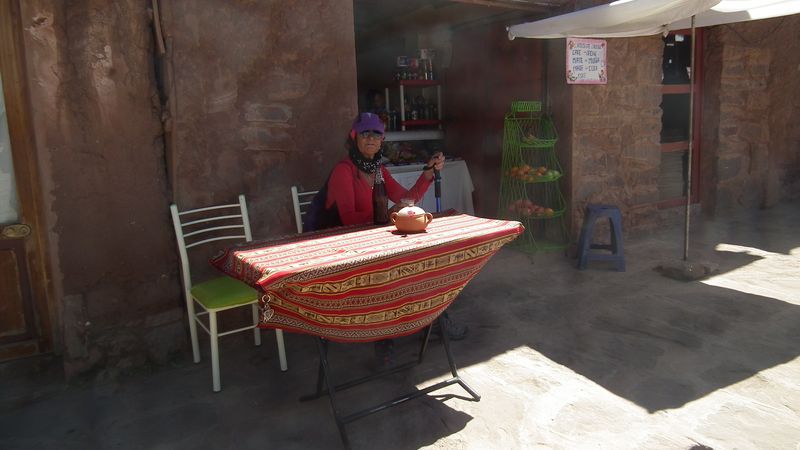 Perú sin prisas - Blogs de Peru - San Carlos de Puno, junto al lago, en las alturas. (40)