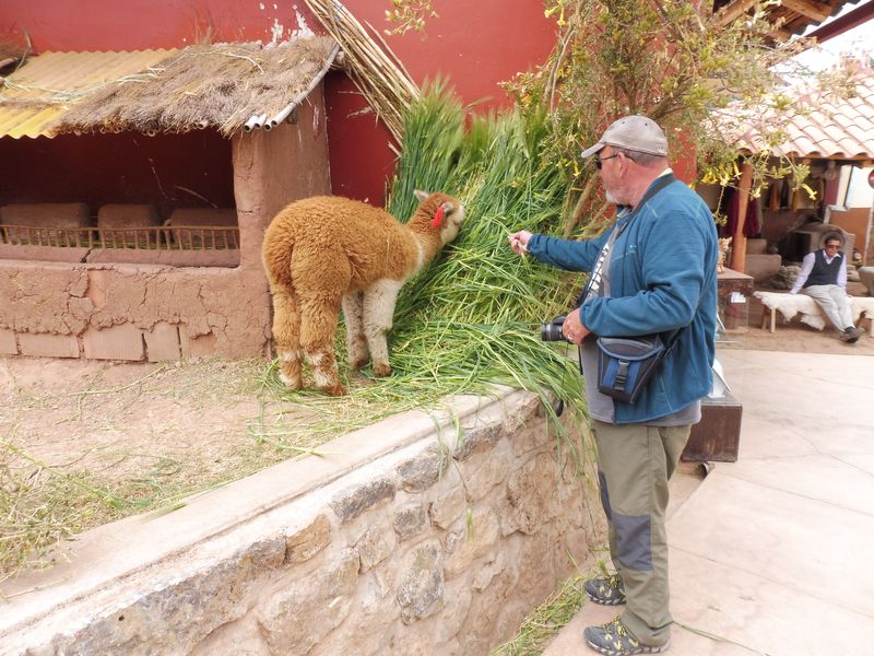 Cuzco, curiosidades cercanas. - Perú sin prisas (23)